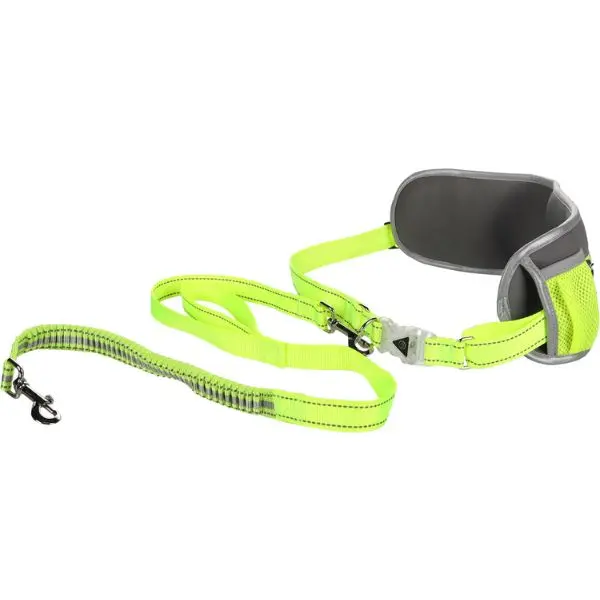 Ceinture et Laisse Jogging