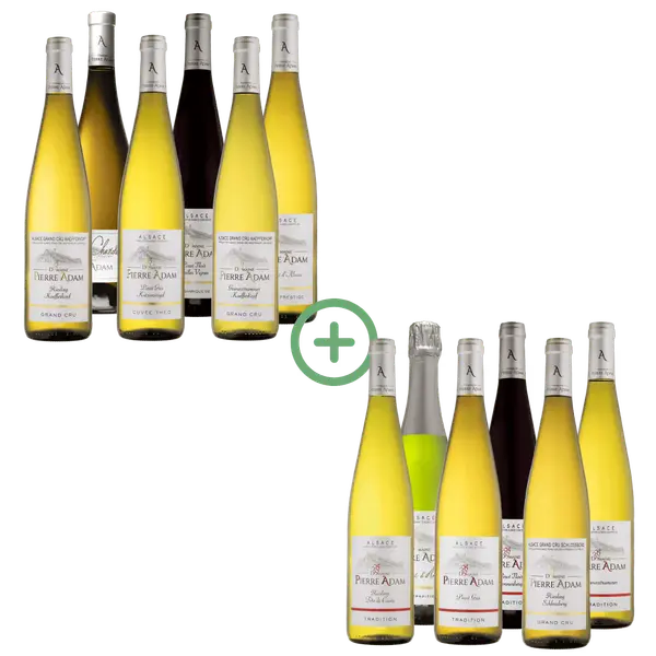 12-bottle discovery pack