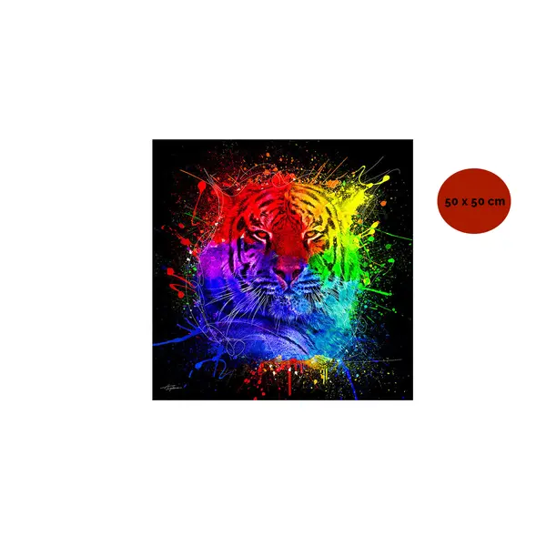 TABLEAU ALU DIBOND TIGRE COULEURS 50*50