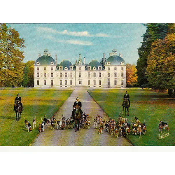 Vins Royaux et Chasse à courre