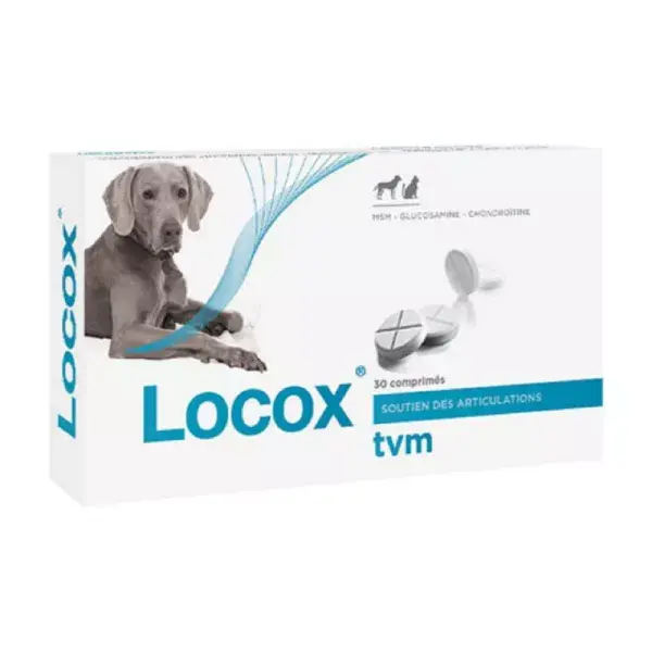 LOCOX -Soutien des Articulations pour Chats, Chiens , comprimés- TVM