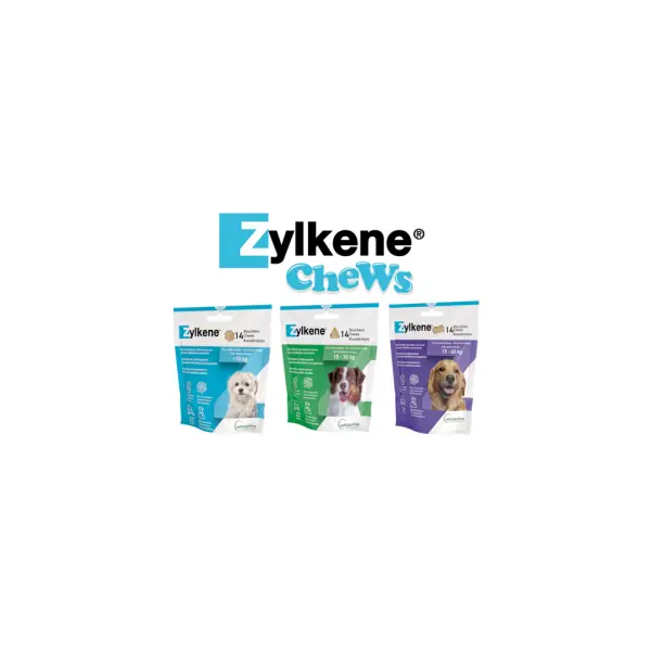 Zylkène chew – Anti stress chien – VETOQUINOL