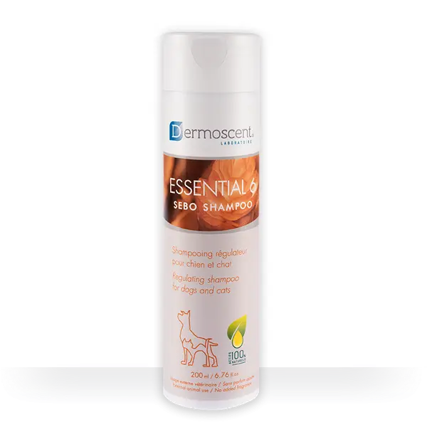 Essential 6 Sébo Shampooing – Chien et chat 200 ml – DERMOSCENT