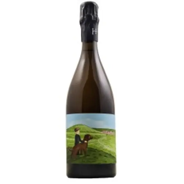 Romain Henin Le Gamin du Terroir Champagne