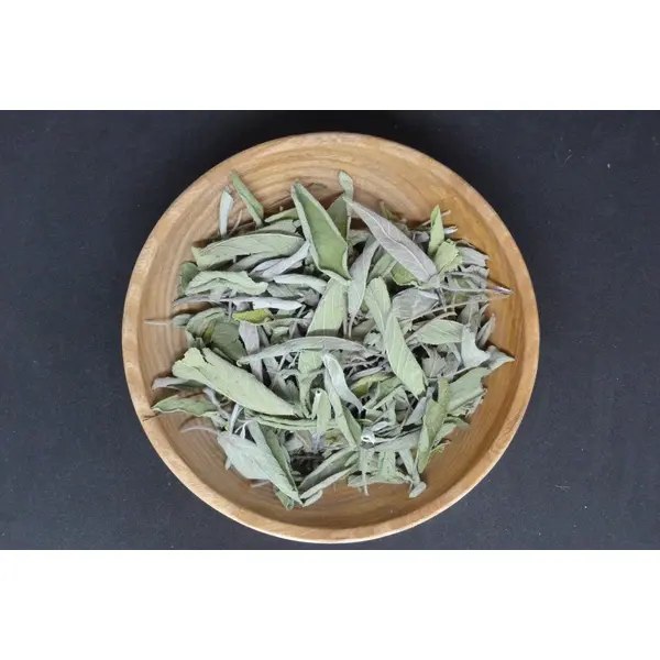 Sauge officinale bio et Demeter – Salvia officinalis