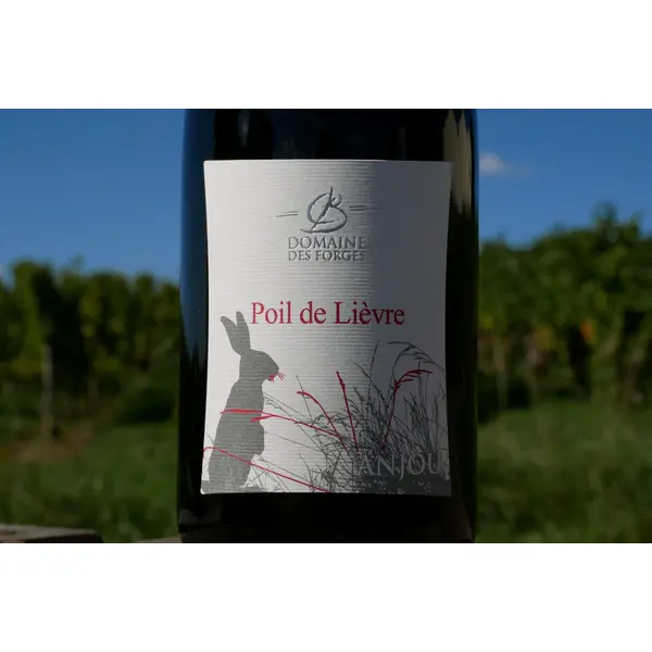 “Poil de Lièvre” Anjou Rouge