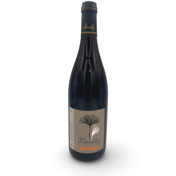 LOIRE REUILLY ROUGE DOMAINE BIGONNEAU 2023