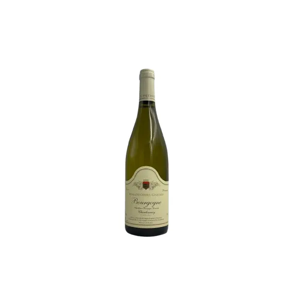 Bourgogne Blanc 2023 – Domaine Odoul-Coquard