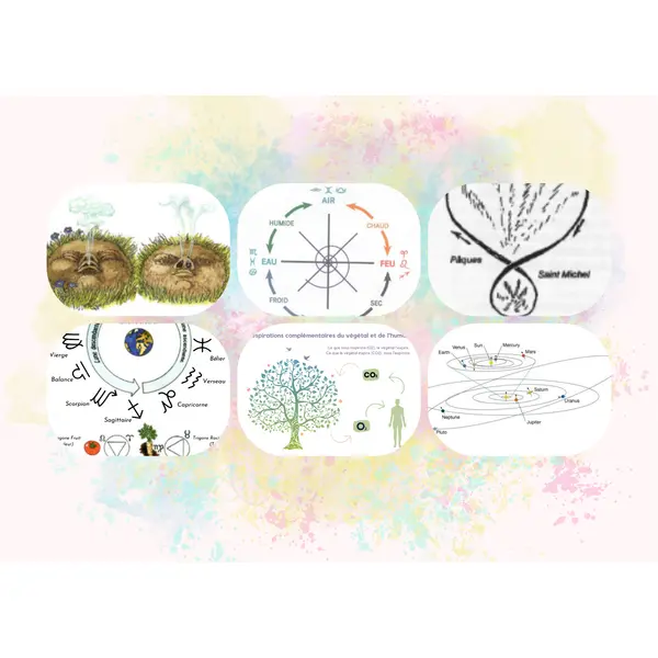 * JARDINAGE BIODYNAMIQUE 2026 – Cycle complet en présentiel✨
