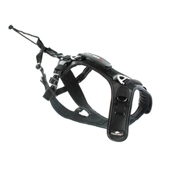 Harnais Canitrail Raidlight x I-Dog