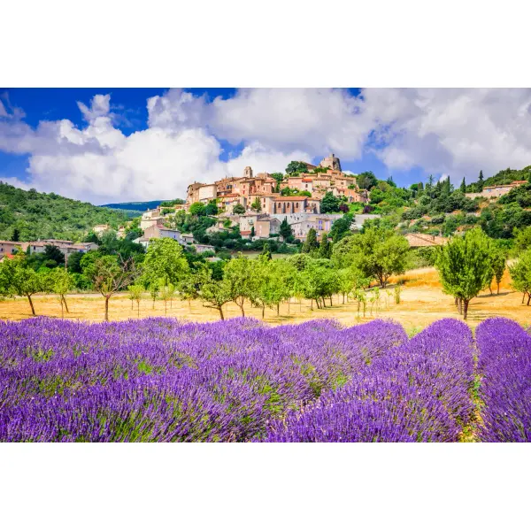 " Au son des grillons " Provence et Côte d'Azur