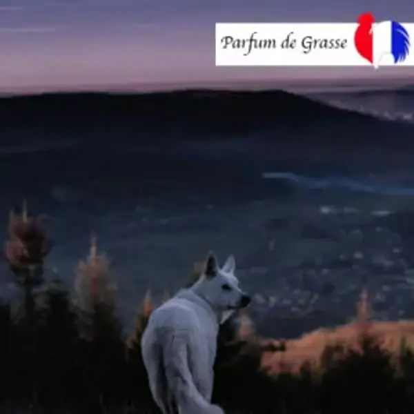 La nuit du Loup