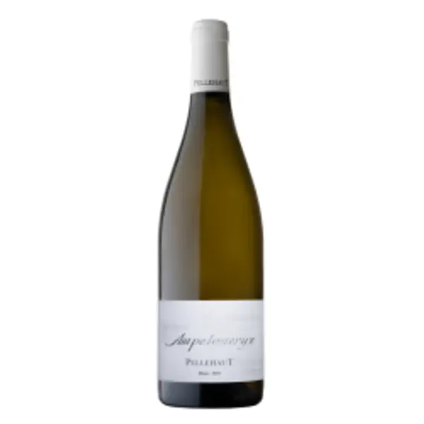 Ampélomeryx Blanc