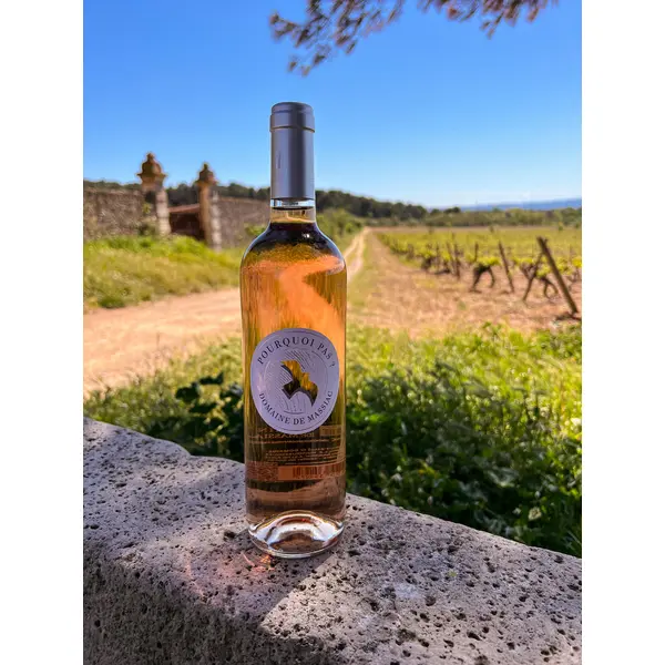 « Pourquoi pas ? » Rosé – PAYS D'OC