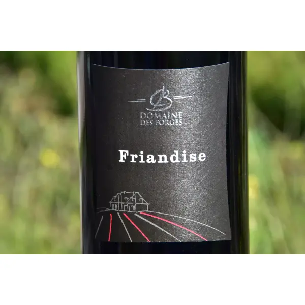 Gamay “Friandise”
