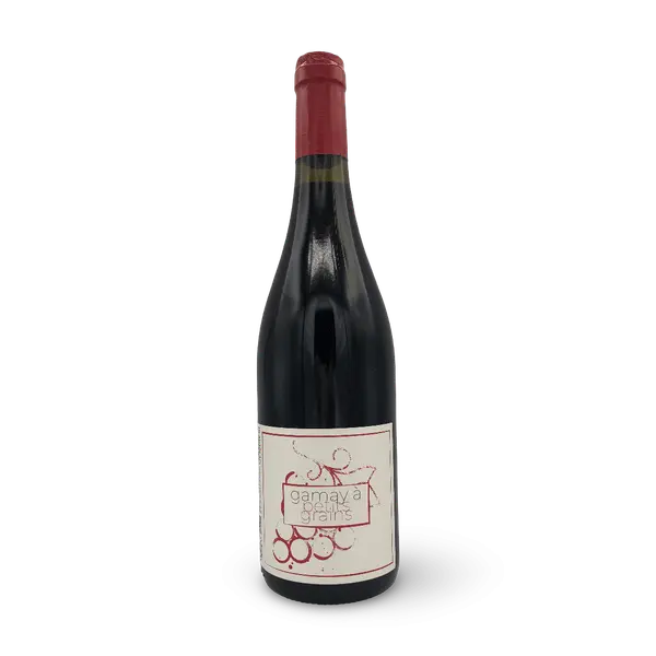 Beaujolais « Gamay à petits grains » Jean Yves Sonnery