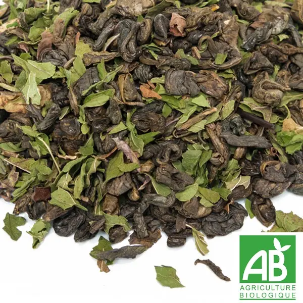 Thé vert "Casbah" BIO (menthe)