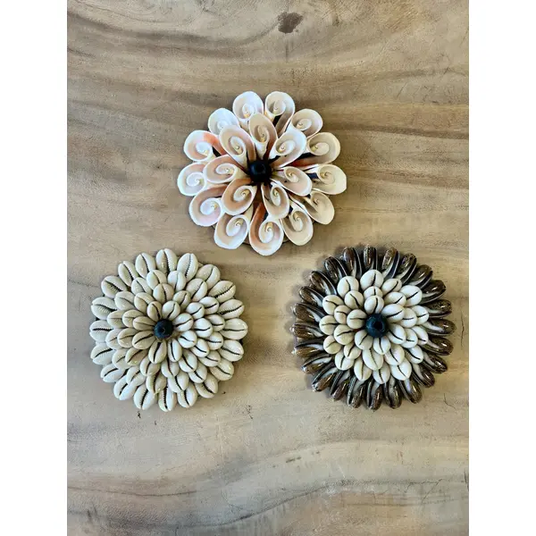 Déco ronde en coquillages