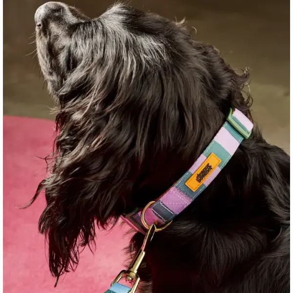 Collier animaux taille M – ELEANOR BOWMER