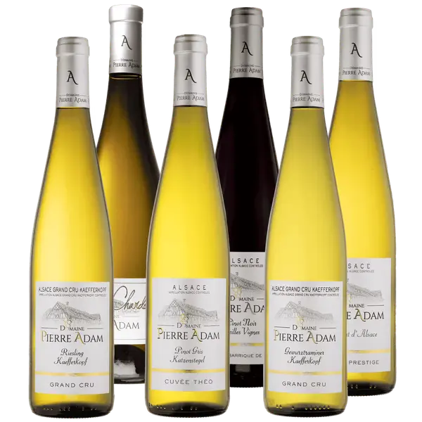 6-bottle Discovery Pack – Prestige