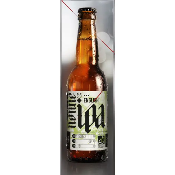 Bière Nonne IPA BIO Brasseurs Savoyards
