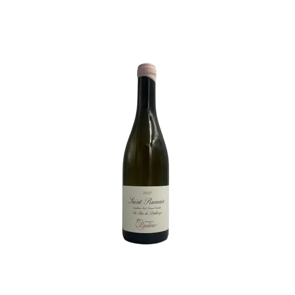 Saint Romain Au Bas de Poillange Blanc 2022 – Vignoble de Pauline (Bourgogne)