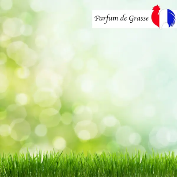 HERBE FRAÎCHE