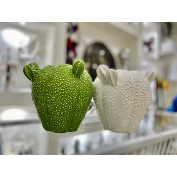 VASES ASSORTIS CACTUS BOULE