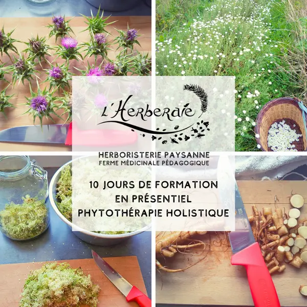 * PHYTOTHÉRAPIE HOLISTIQUE 2027 – Formation à la ferme ✨