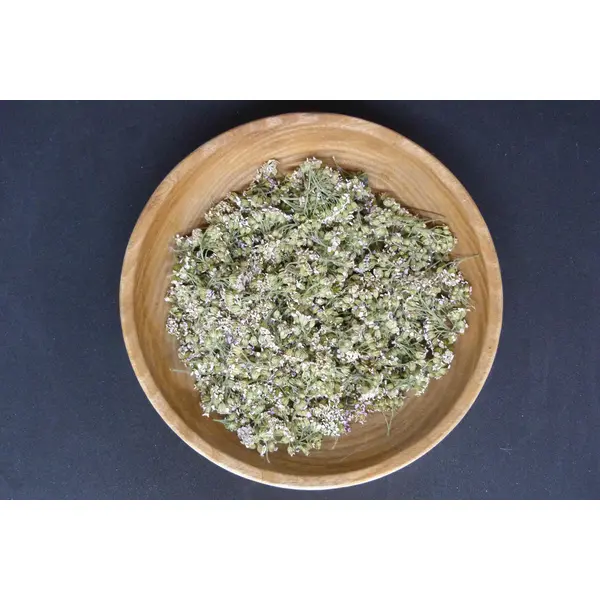 Achillée millefeuille bio et Demeter – Achillea millefolium