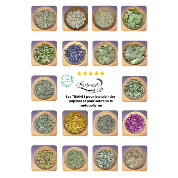 *Synergie personnalisée de plantes sèches (sachet de 80g)