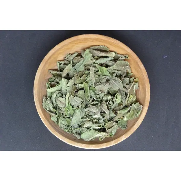 Menthe verte bio et Demeter – Mentha spicata