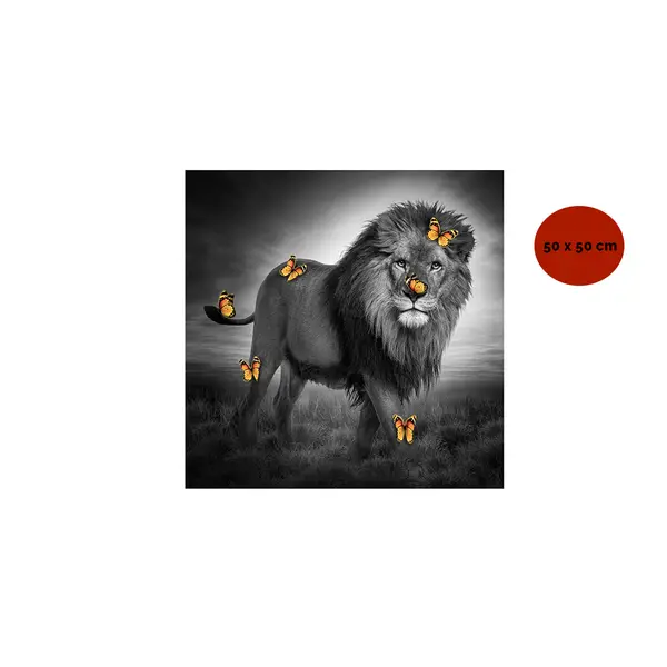 TABLEAU ALU DIBOND LION PAPILLONS 50*50