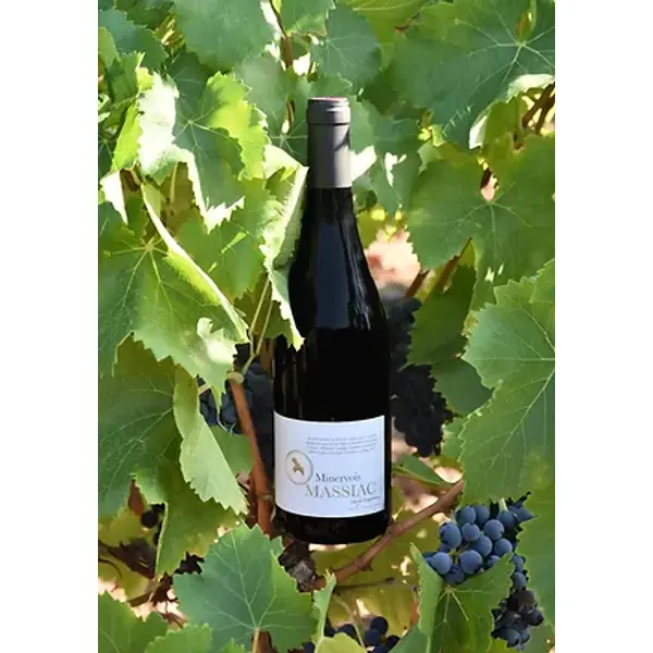 CUVÉE ESPÉRANCE – AOC MINERVOIS
