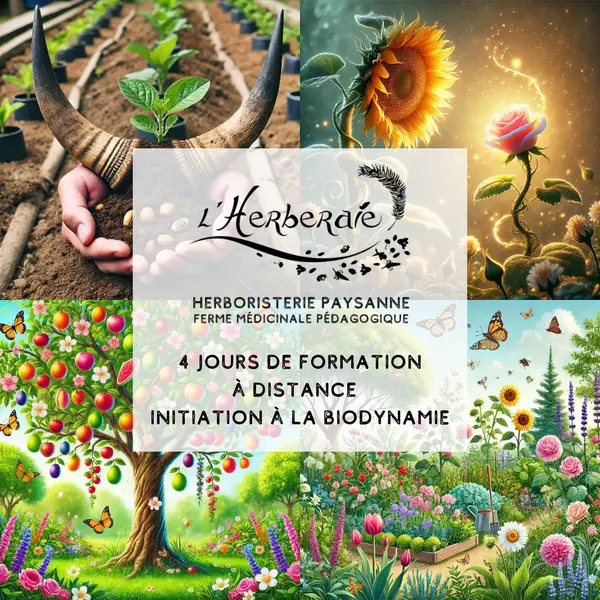 JARDINAGE BIODYNAMIQUE 2027 – Formation à distance ✨
